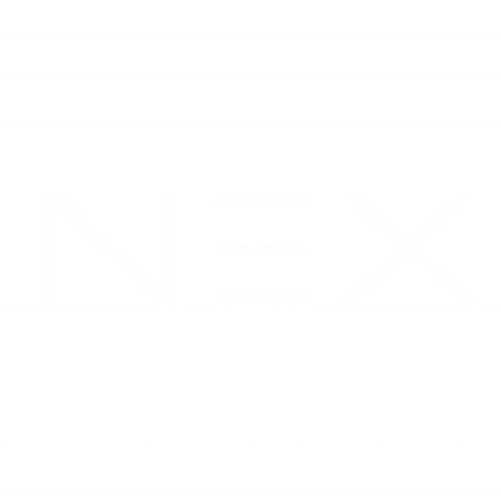 NEX Logo white