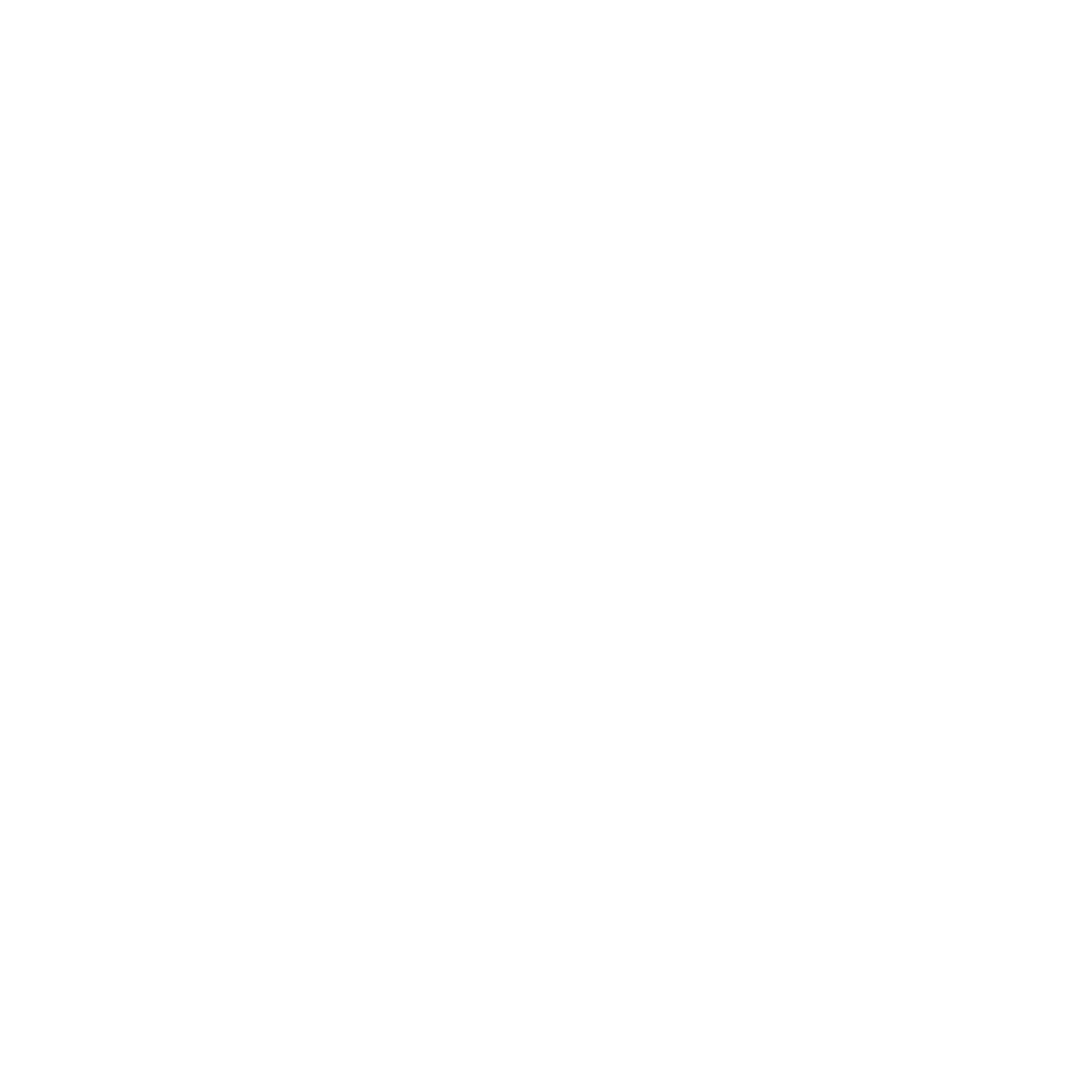 NEX Logo white