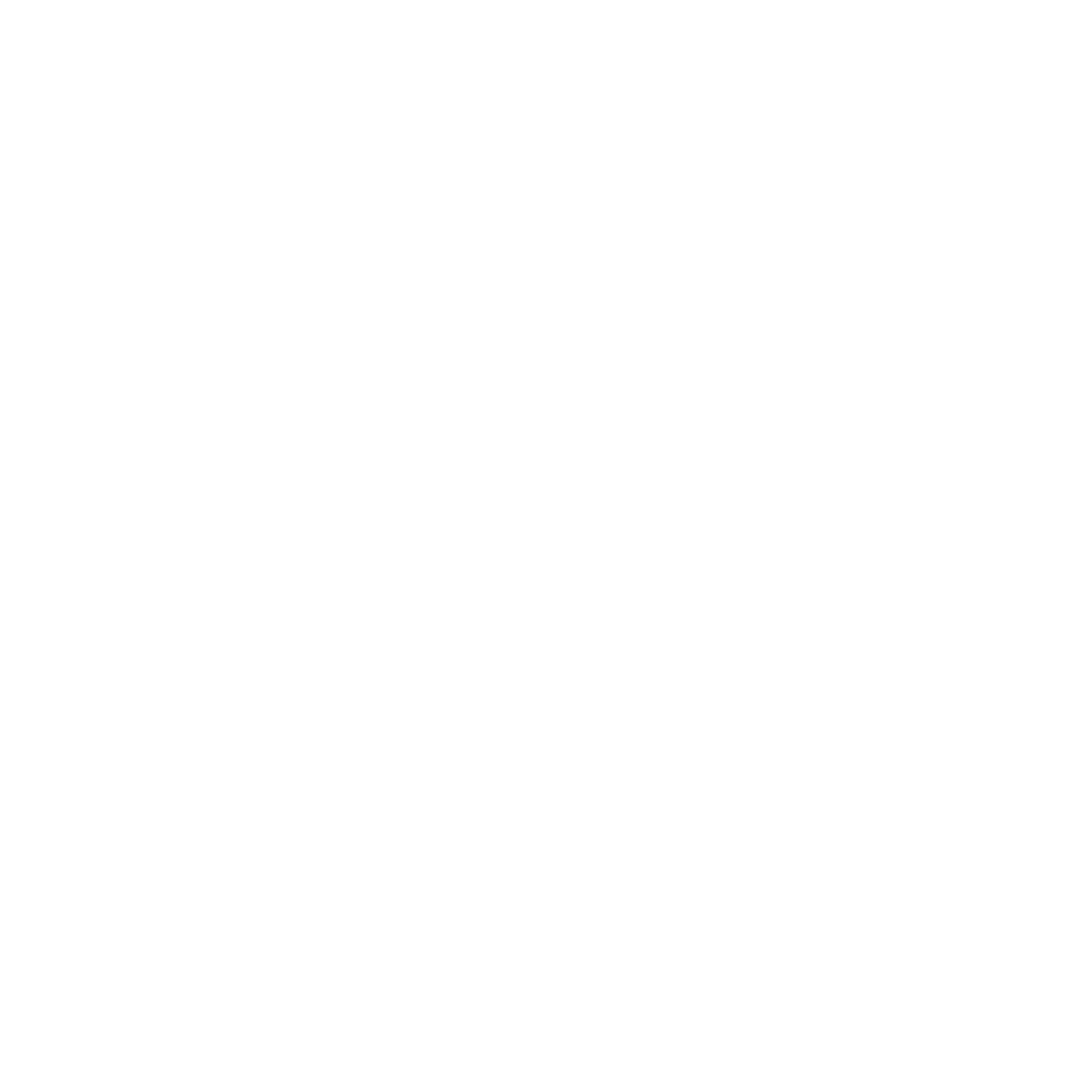 Nex Logo white